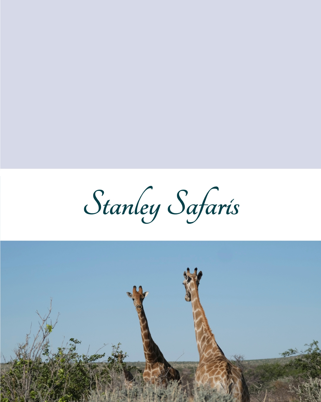 Stanley Safaris - 362% Increase in Monthly Website Leads